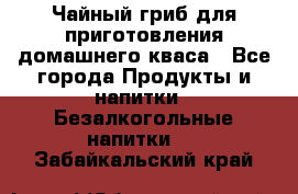 Чайный гриб для приготовления домашнего кваса - Все города Продукты и напитки » Безалкогольные напитки   . Забайкальский край